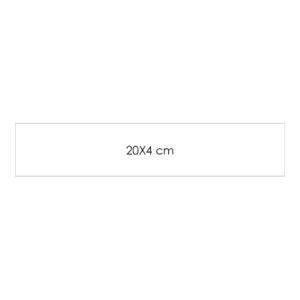 מלבן 20X4